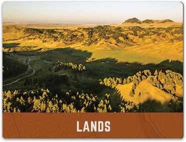 aerial photo of lush green land and mountains on the Lands gallery